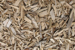 biomass boilers Whitehead